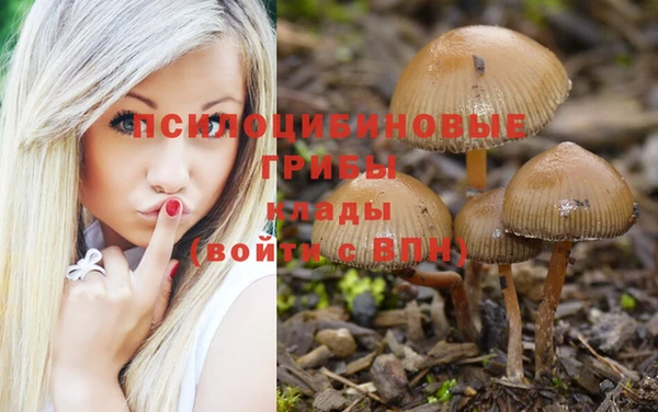 мдма Кинешма